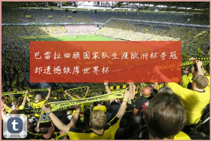 巴雷拉回顾国家队生涯欧洲杯夺冠却遗憾缺席世界杯
